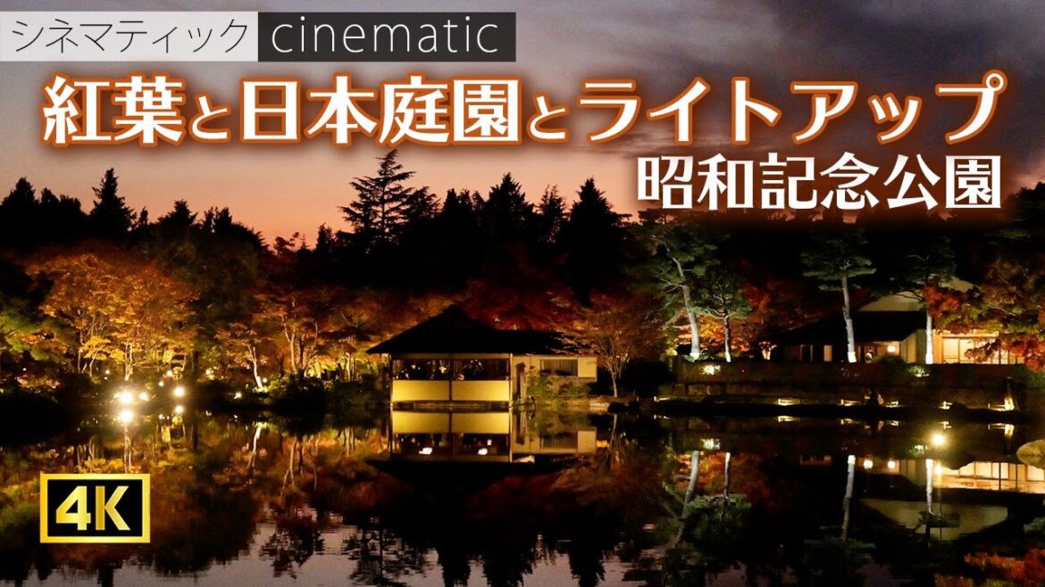 昭和記念公園　ライトアップ　絶景の日本庭園　夕暮れから夜の紅葉　シネマティック　2022　SHOWA KINEN PARK【 4K 】